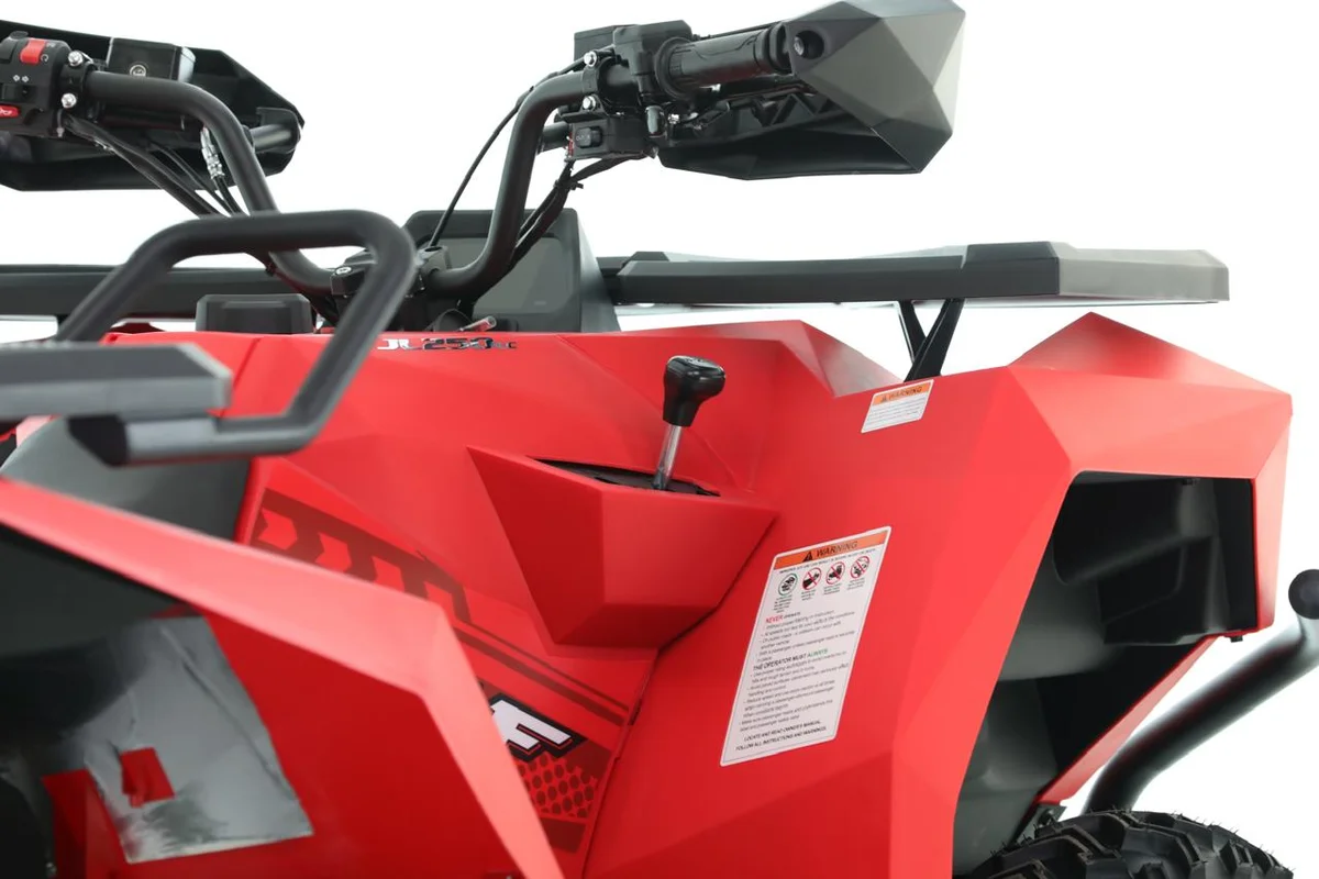 CUATRICICLO JL 250 cc 2