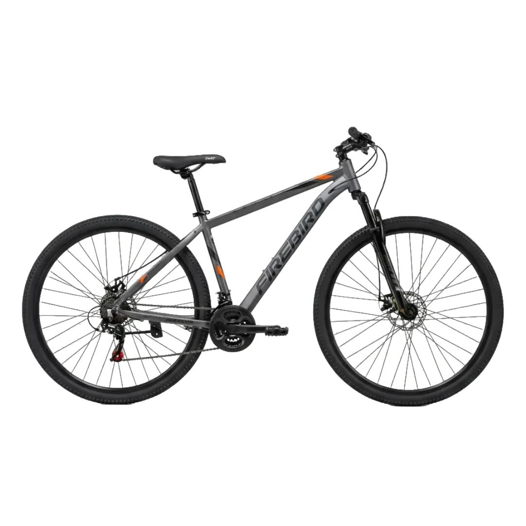 BICICLETA FIREBIRD RODADO 29 GRIS